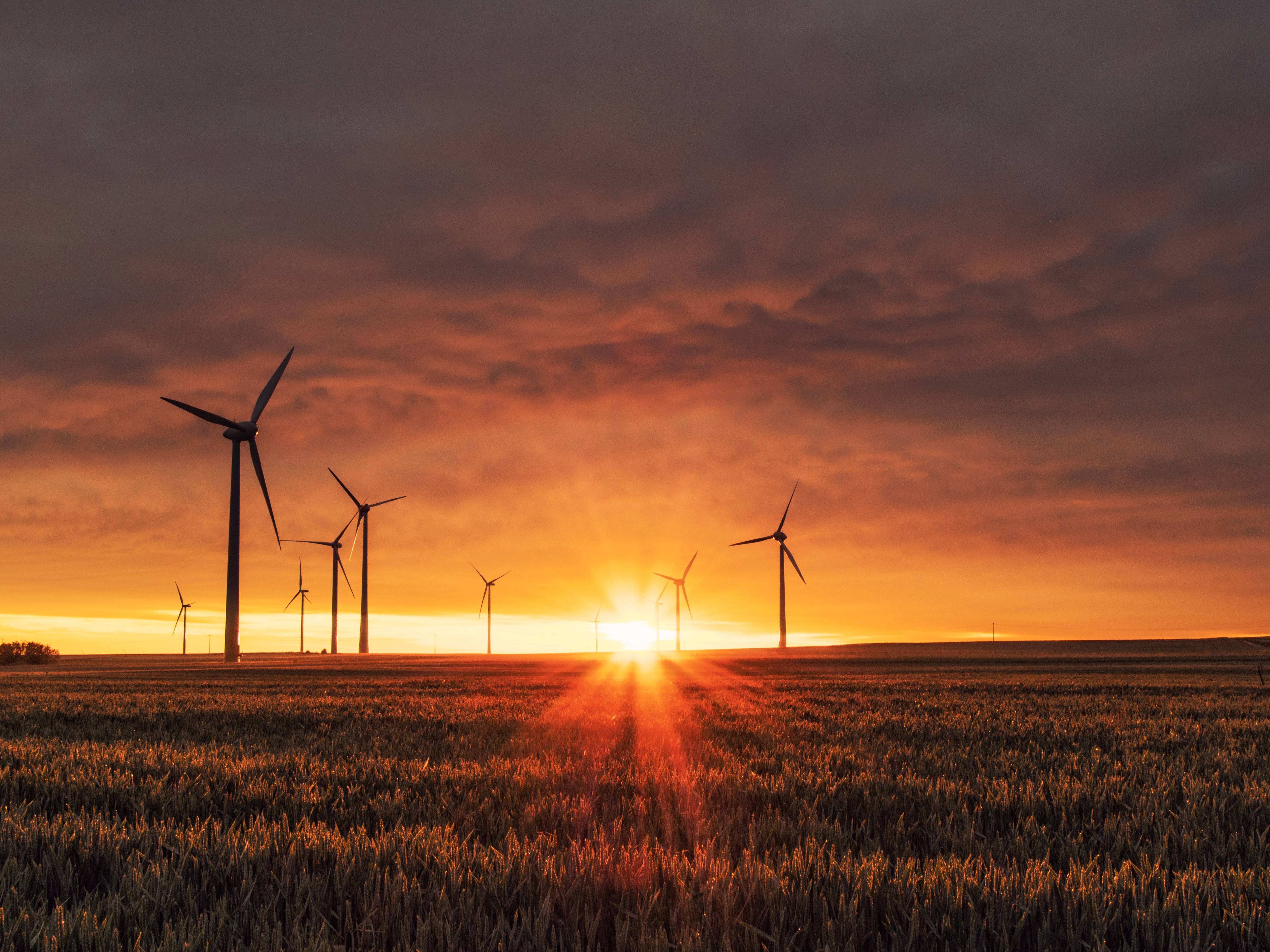 Prairie and wind turbines